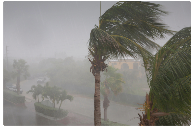 台風画像